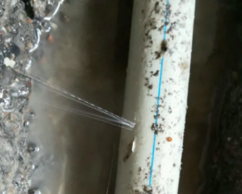 濮阳市卫生间测漏水多少钱