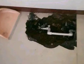 濮阳市卫生间测漏水多少钱